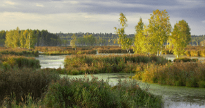 Russian National Nature Reserve